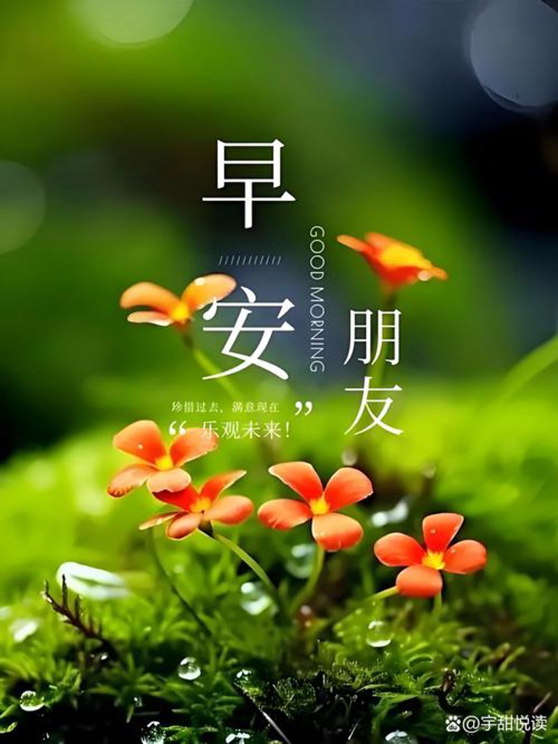 沙坪坝鲜花店案例分析：如何打造本地口碑